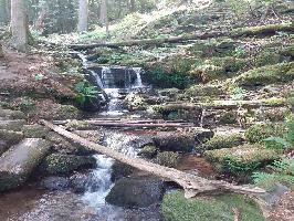 St. Peter im Schwarzwald » Bild 82