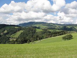 Hochgericht: Blick Kandel