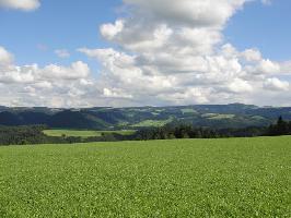 Hochgericht: Blick Oberes Wagensteigtal