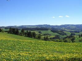 St. Peter im Schwarzwald » Bild 15