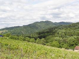 Probst`s Strauwirtschaft Grunern: Waldbruderkpfle