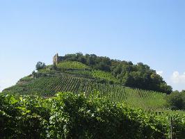 Schlossberg Staufen