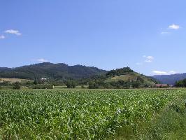 Schlossberg Staufen: Westansicht