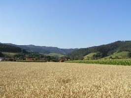 Eschbachtal bei Stegen