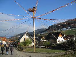 Umzug Narrentreffen 33 Jahre Bachdatscherzunft » Bild 48