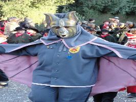 Bild Fledermaus Narrenzunft Steinach
