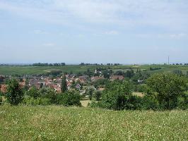 Laufen im Markgrflerland