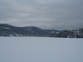 Seestrae Titisee: Blick Wolfbhl im Winter