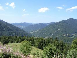 Schwarzwald » Bild 96