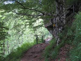 Todtnauer Wasserfall: Teilstck Rundweg