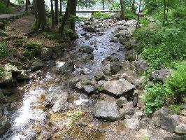 Todtnauer Wasserfall: Stbenbach vor Hauptfall