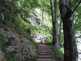 Todtnauer Wasserfall: Treppen westlich vom Hauptfall