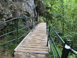 Todtnauer Wasserfall: Wasserfallsteig