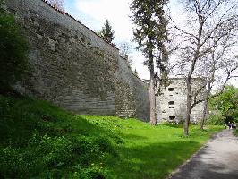 Rosendobelturm & Stadtmauer berlingen