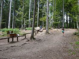 KugelWaldPfad Birkendorf: Bahn der Waldtiere Bild 3