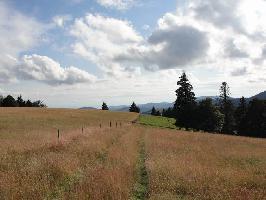 Landschaft beim Knpflesbrunnen