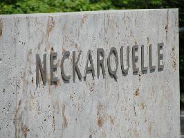 Neckarquelle: