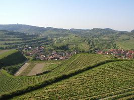 Vogtsburg im Kaiserstuhl