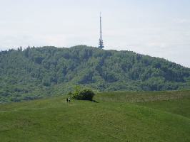 Badbergpfad Badberg