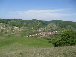 Badberg & Haselschacher Buck Kaiserstuhl » Bild 7