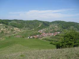 Badberg & Haselschacher Buck Kaiserstuhl » Bild 7