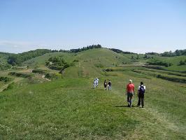 Badberg & Haselschacher Buck Kaiserstuhl » Bild 8