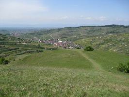 Oberbergen im Kaiserstuhl » Bild 21