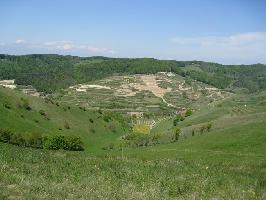 Badberg & Haselschacher Buck Kaiserstuhl » Bild 14