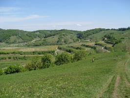 Badberg: Blick Ohrberg