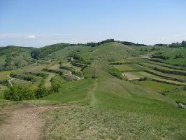 Badberg & Haselschacher Buck Kaiserstuhl » Bild 18