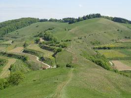 Schelingen im Kaiserstuhl » Bild 26