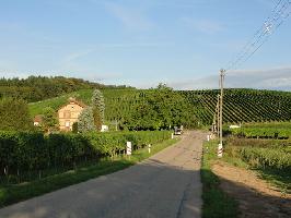 Bahnbergang Burkheim-Bischfoffingen