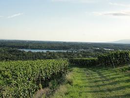 Burgberg Burkheim: Burkheimer Baggersee