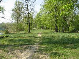 Liegewiese Burkheimer Baggersee