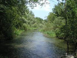 Burkheimer Baggersee: Rappennest-Gieen