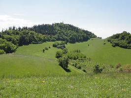 Badberg & Haselschacher Buck Kaiserstuhl » Bild 28