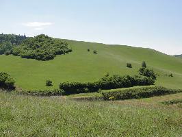 Degenmatten: Blick Haselschacher Buck