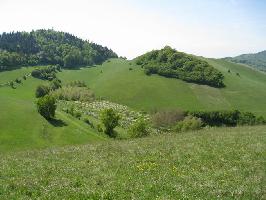 Badberg & Haselschacher Buck Kaiserstuhl » Bild 31