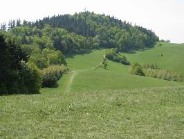 Badberg & Haselschacher Buck Kaiserstuhl » Bild 33