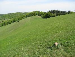 Schelingen im Kaiserstuhl » Bild 36