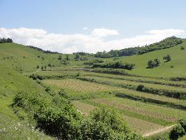 Eichstetter Tal