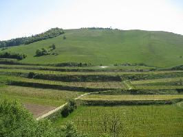 Eichstetter Tal: Haselschacher Buck