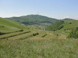 Eichstetter Tal: Blick Totenkopf Kaiserstuhl