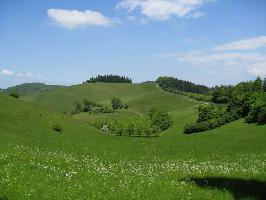 hmdsmatten Haselschacher Buck