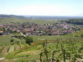 Httenberg Bischoffingen: Blick Bischoffingen