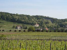 Oberrotweil im Kaiserstuhl » Bild 7