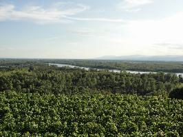 Kreidenberg Burkheim: Blick Rhein