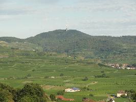 Kreidenberg Burkheim: Blick Totenkopf