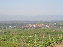 Oberbergen im Kaiserstuhl » Bild 25