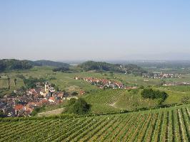 Oberbergen im Kaiserstuhl » Bild 12